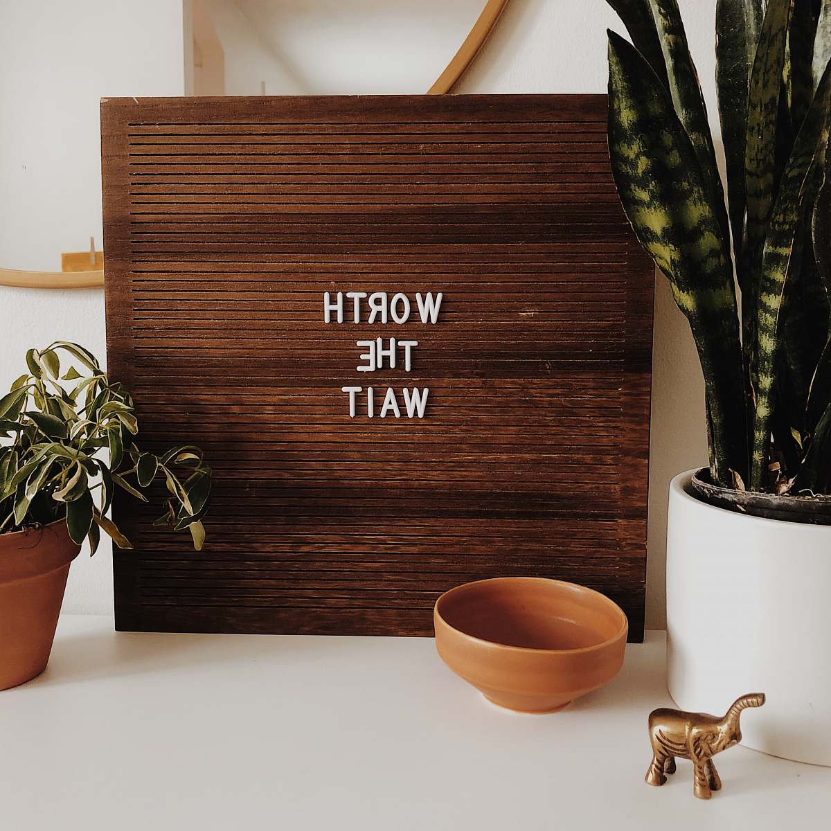 plant white Worth The Wait sign on brown wooden board wood